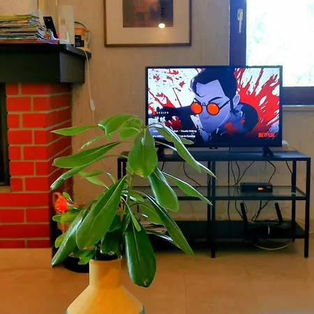 Haus Convallaria Holiday home