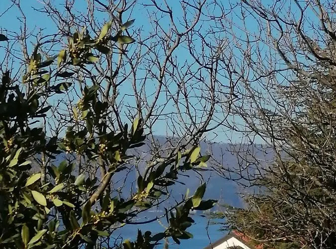 Haus Convallaria Pinezići
