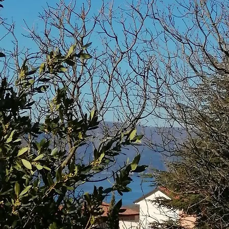 Haus Convallaria Pinezići